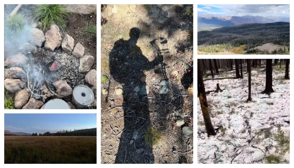 collage of wilderness photos